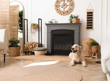 Location de maison avec cheminée : qui s'occupe du ramonage ?